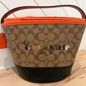 Coach Brown and Orange Halloween bucket tote with liner